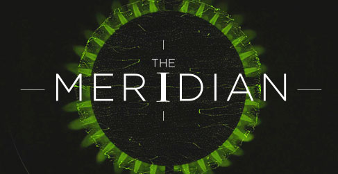The Meridian - The Energy Transition Issue